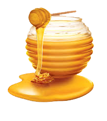 Shape Image